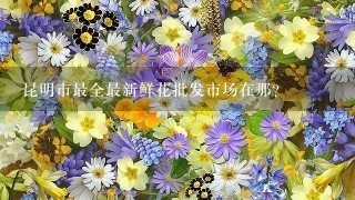 昆明市最全最新鲜花批发市场在那?