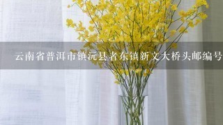 云南省普洱市镇沅县者东镇新文大桥头邮编号码是多少