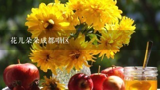 花儿朵朵成都唱区