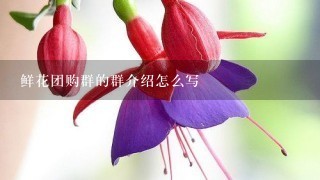 鲜花团购群的群介绍怎么写