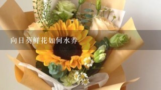 向日葵鲜花如何水养