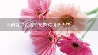 云南特产古渡云花鲜花饼多少钱