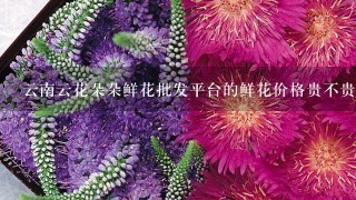 云南云花朵朵鲜花批发平台的鲜花价格贵不贵？