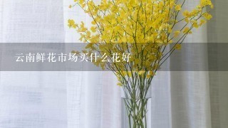 云南鲜花市场买什么花好