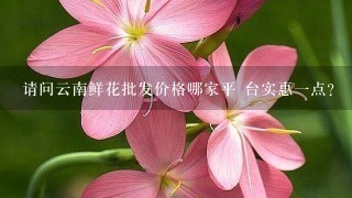 请问云南鲜花批发价格哪家平 台实惠1点？