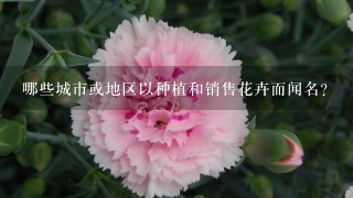 哪些城市或地区以种植和销售花卉而闻名？