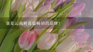 谁是云南鲜花最畅销的品牌？