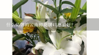 什么品牌的云南鲜花饼口感最好？