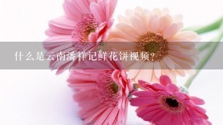 什么是云南潘祥记鲜花饼视频？