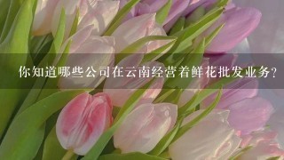 你知道哪些公司在云南经营着鲜花批发业务？