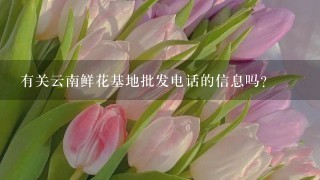 有关云南鲜花基地批发电话的信息吗？