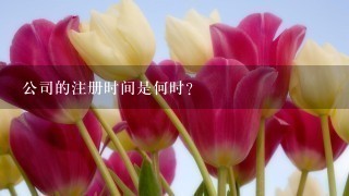 公司的注册时间是何时？