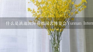 什么是滇池国际花都园艺博览会Yunnan