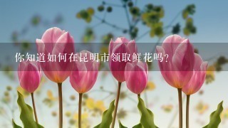 你知道如何在昆明市领取鲜花吗？