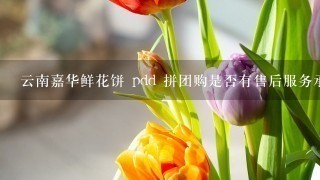 云南嘉华鲜花饼