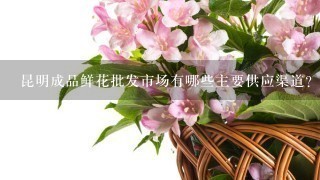 昆明成品鲜花批发市场有哪些主要供应渠道