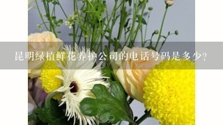 昆明绿植鲜花养护公司的电话号码是多少