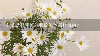 什么是昆明鲜花物流流体载体流向