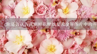 你是否认为昆明鲜花壁纸夏天全屏图片中的所有花都是有生命力的吗