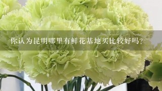 你认为昆明哪里有鲜花基地买比较好吗