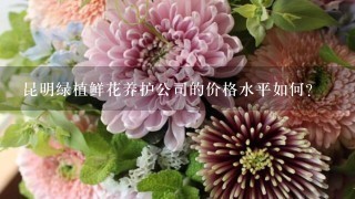 昆明绿植鲜花养护公司的价格水平如何