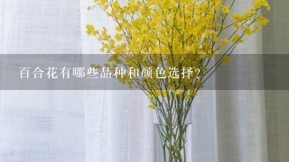 百合花有哪些品种和颜色选择