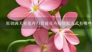 原创满天星花卉与其他花卉的搭配方式有哪些选择可供参考吗