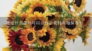 通过什么途径可以让百合花持久地保存