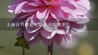 上海古月鲜花有限公司在哪里