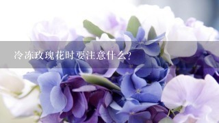 冷冻玫瑰花时要注意什么