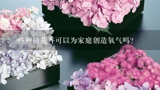 一些种植花卉可以为家庭创造氧气吗