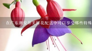 在广东潮安井美鲜花配送中可以享受哪些特殊服务吗