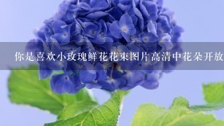 你是喜欢小玫瑰鲜花花束图片高清中花朵开放的时候还是闭合的时候