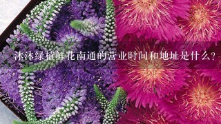 沐沐绿植鲜花南通的营业时间和地址是什么