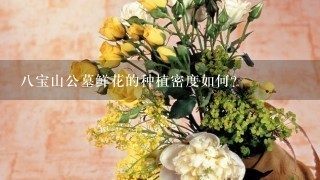 八宝山公墓鲜花的种植密度如何?