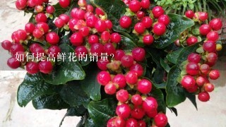 如何提高鲜花的销量?