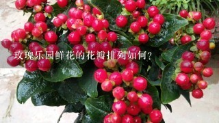 玫瑰乐园鲜花的花瓣排列如何?