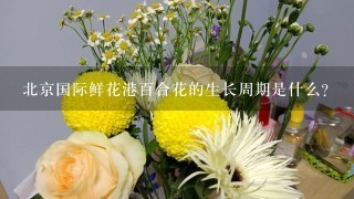 北京国际鲜花港百合花的生长周期是什么?