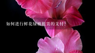 如何进行鲜花绿植租赁的支付?