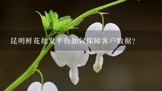 昆明鲜花批发平台如何保障客户数据?