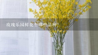 玫瑰乐园鲜花有哪些品种?