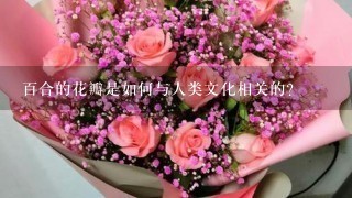 百合的花瓣是如何与人类文化相关的?