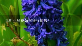 昆明小鲜花如何进行销售?