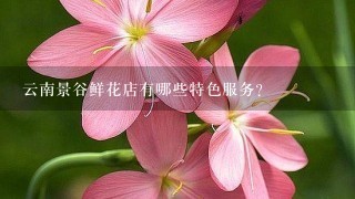 云南景谷鲜花店有哪些特色服务?