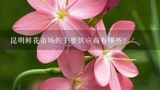 昆明鲜花市场的主要供应商有哪些?