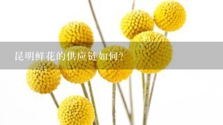 昆明鲜花的供应链如何?