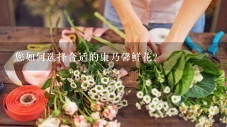 您如何选择合适的康乃馨鲜花?