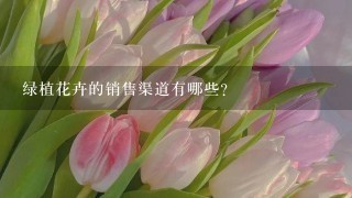 绿植花卉的销售渠道有哪些?